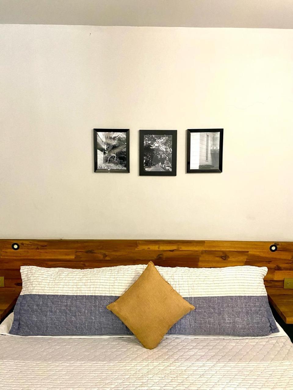 Casa Mosaiko Patio Bonito Hotel Меделин Екстериор снимка